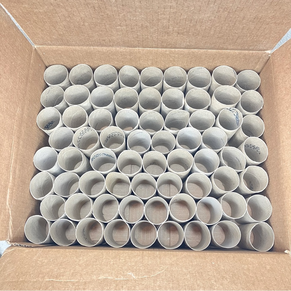 70 Empty Toilet Paper Rolls Cardboard Tubes Arts Craft School Church Kid Project